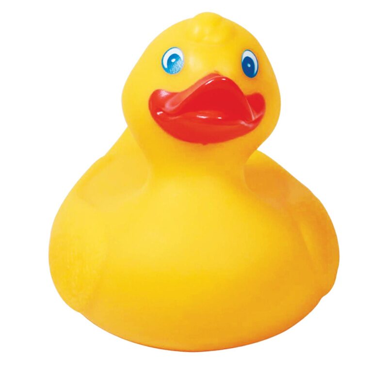 Custom Large Rubber Duck - 6